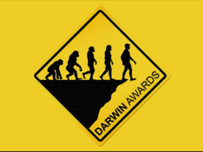 Los premios Darwin y la estupidez&nbsp;masculina